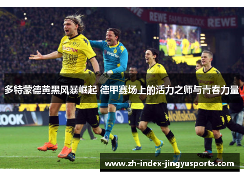 多特蒙德黄黑风暴崛起 德甲赛场上的活力之师与青春力量