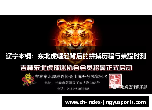 辽宁本钢：东北虎崛起背后的拼搏历程与荣耀时刻